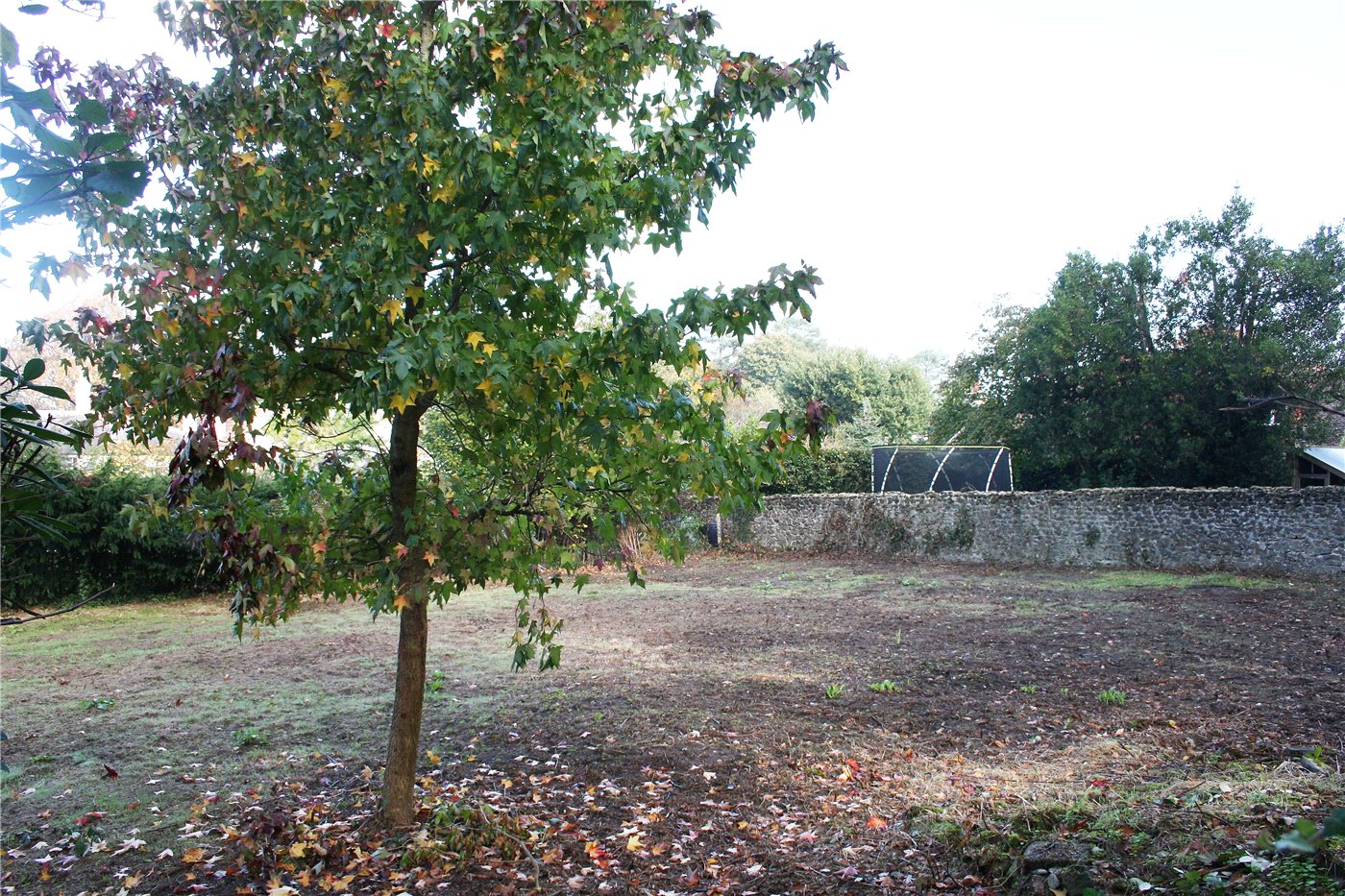Land